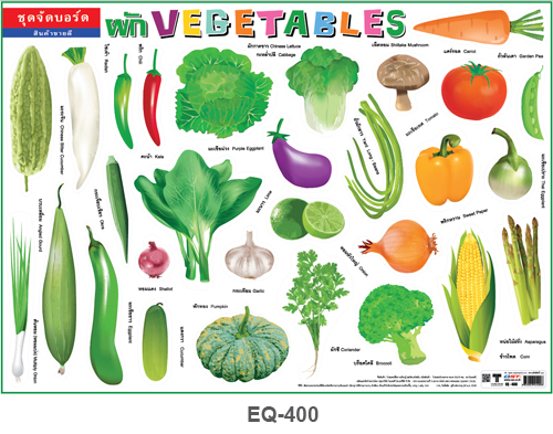 โปสเตอร์กระดาษ ชุดจัดบอร์ดผัก #EQ-400 แผ่นภาพโปสเตอร์สื่อการเรียนรู้ ประกอบการศึกษา